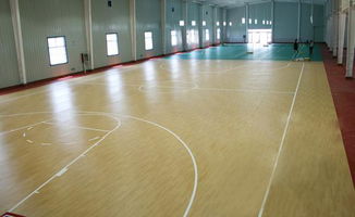 吉林最有性价比的篮球馆木 地板 厂家, 因为 专业